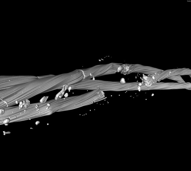 3D Scan of a Fiber