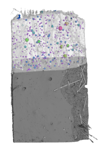 Porosity analysis of a concrete block